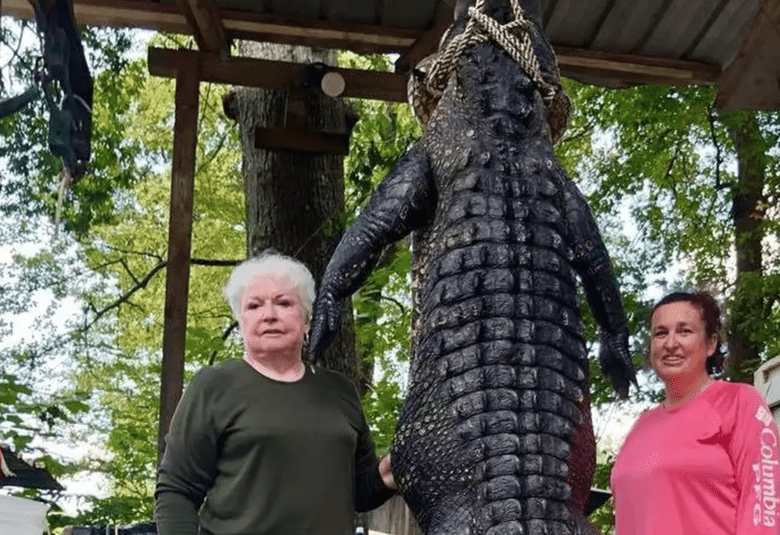 nenek bunuh buaya detik-bola